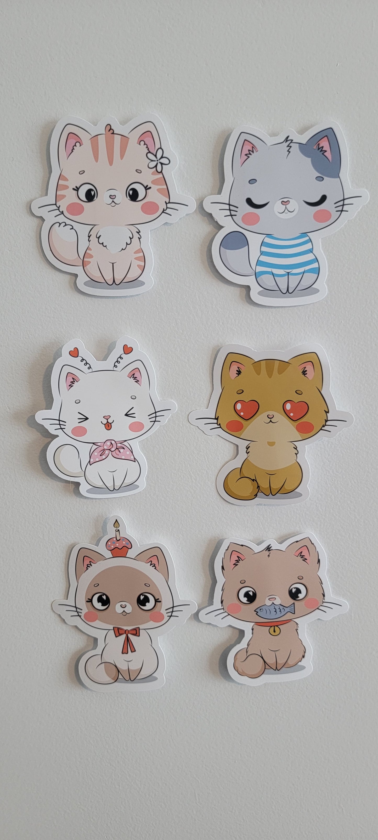 Cute Cats